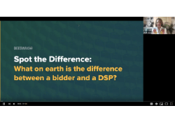 Spot The Difference _ What on earth is the difference between a bidder and a dsp