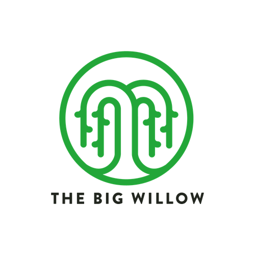 Willow _ Logo _ Transparent-1